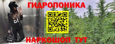 дживик Будённовск
