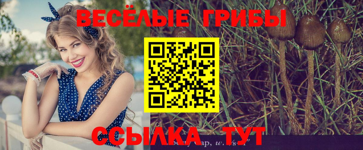 купить наркотики цена  Галлюциногенные грибы мицелий  Вход с VPN  Галлюциногенные грибы Magic Shrooms  Кунгур 