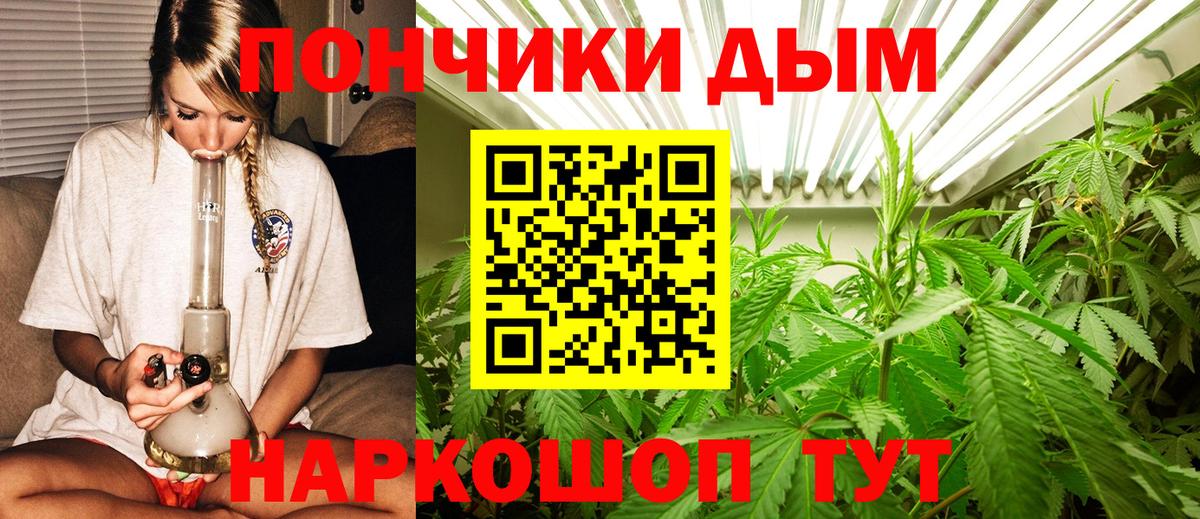 Каннабис план Кунгур